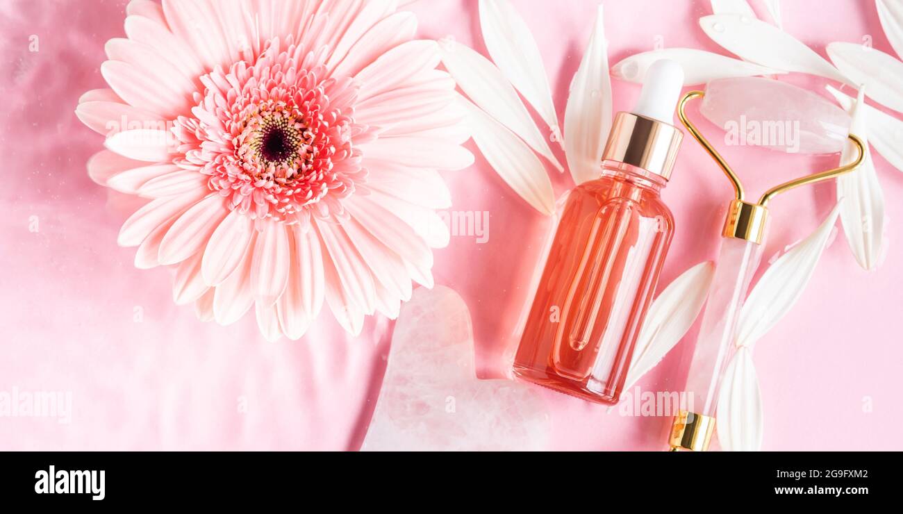 Bellezza cosmetica olio siero prodotto acido bottiglia e guasha rullo viso al quarzo su sfondo rosa Foto Stock