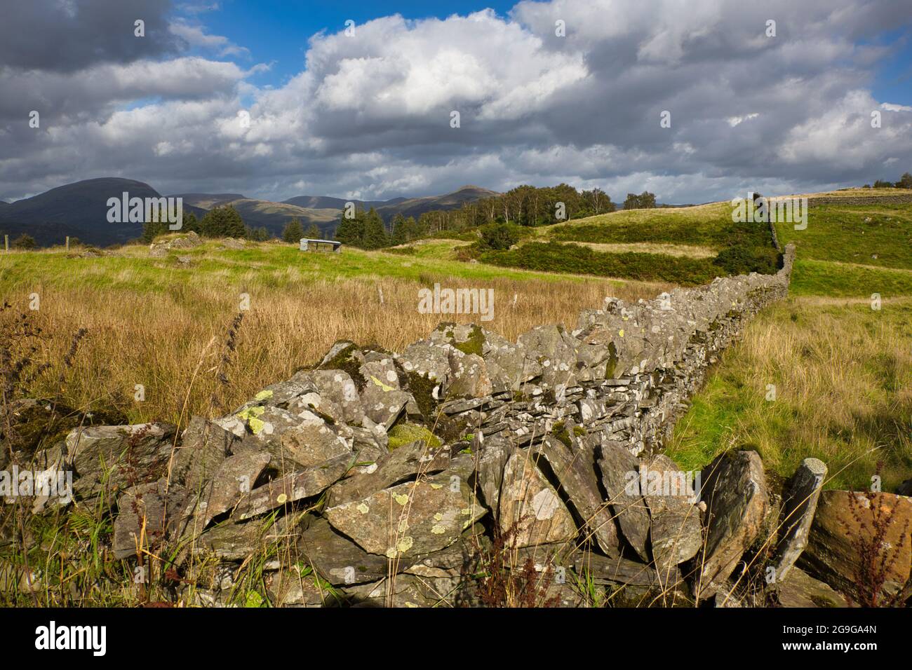 Un esempio di pareti e campi in pietra a secco in Cumbria, il Lake District, Inghilterra, Regno Unito Foto Stock