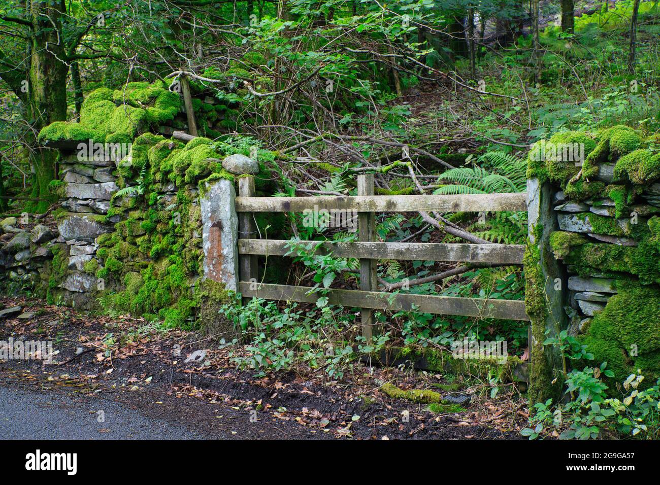 Vecchio gateway in crescita coperto di muschio e verde nel Lake District, Cumbria, Inghilterra, Regno Unito Foto Stock