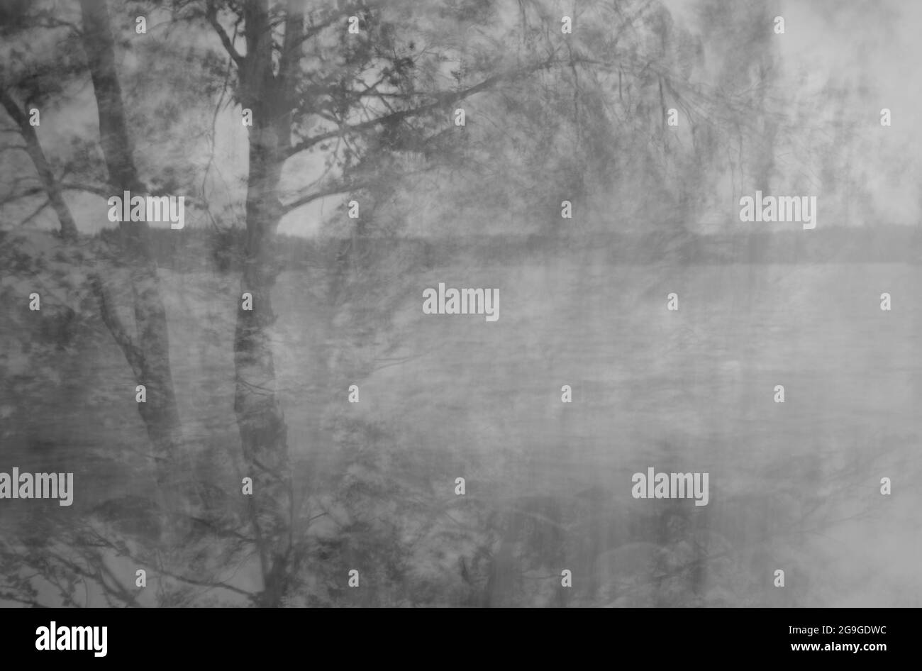 Montage di alberi e lago Foto Stock