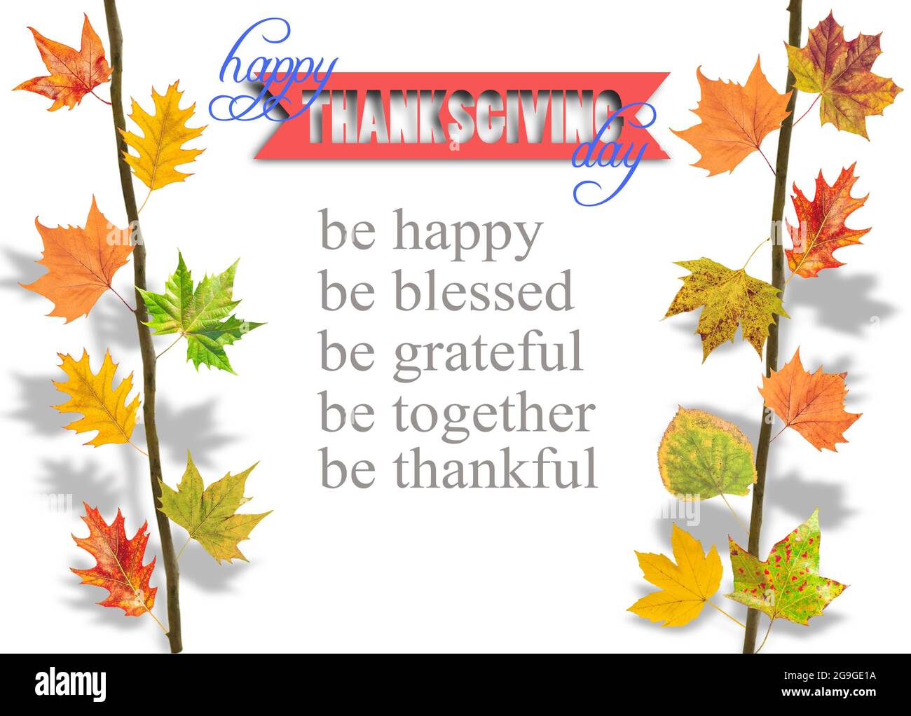 Diverse foglie appese sul ramo dell'albero Foto Stock