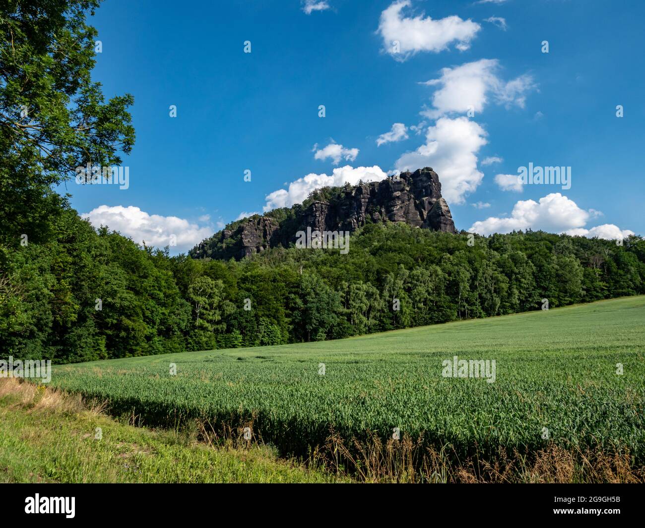 Vista del Lilienstein in Svizzera sassone Foto Stock