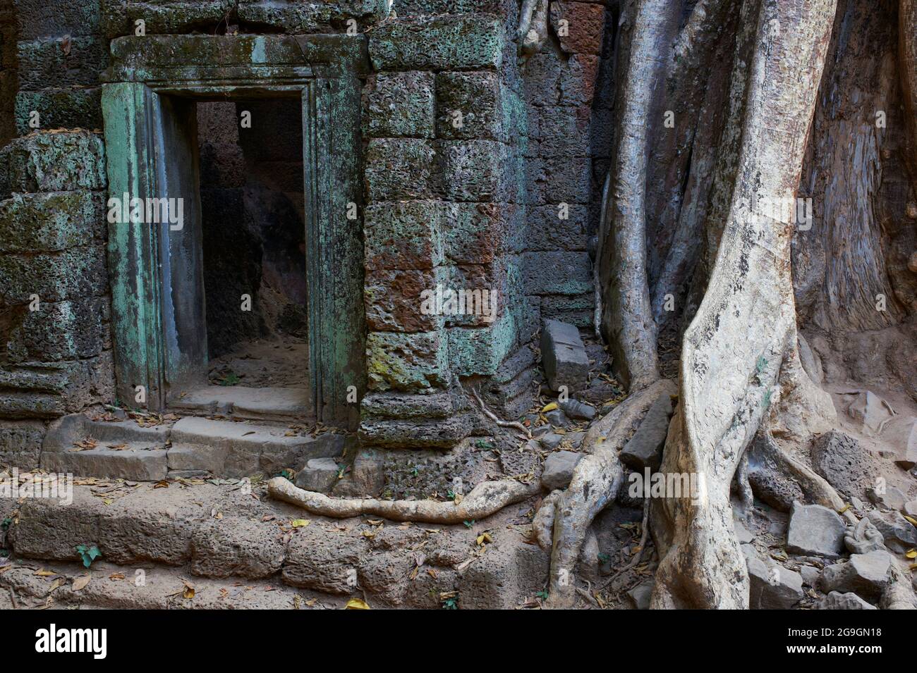 Sud-est asiatico, Cambogia, Siem Reap Provincia, sito di Angkor, patrimonio mondiale dell'UNESCO dal 1992, Ta Prohm tempio costruito nel 1186 dal re Jayavarman VI Foto Stock