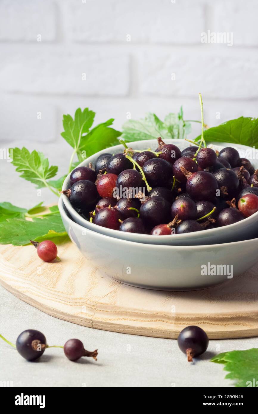 Il jostaberry (Ribes × nidigrolia) ibrido di un ribes nero e uva spina in una ciotola Foto Stock