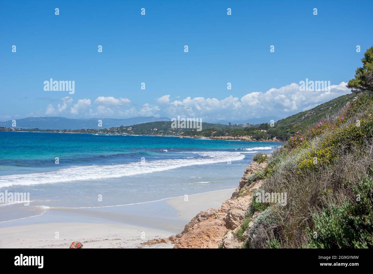 Scoperta dell'isola di bellezza nel sud della Corsica nel mese di maggio, Francia Foto Stock