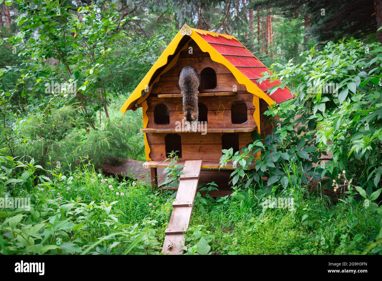 una casa di legno per i gatti senza casa si trova nel parco tra gli alberi Foto Stock