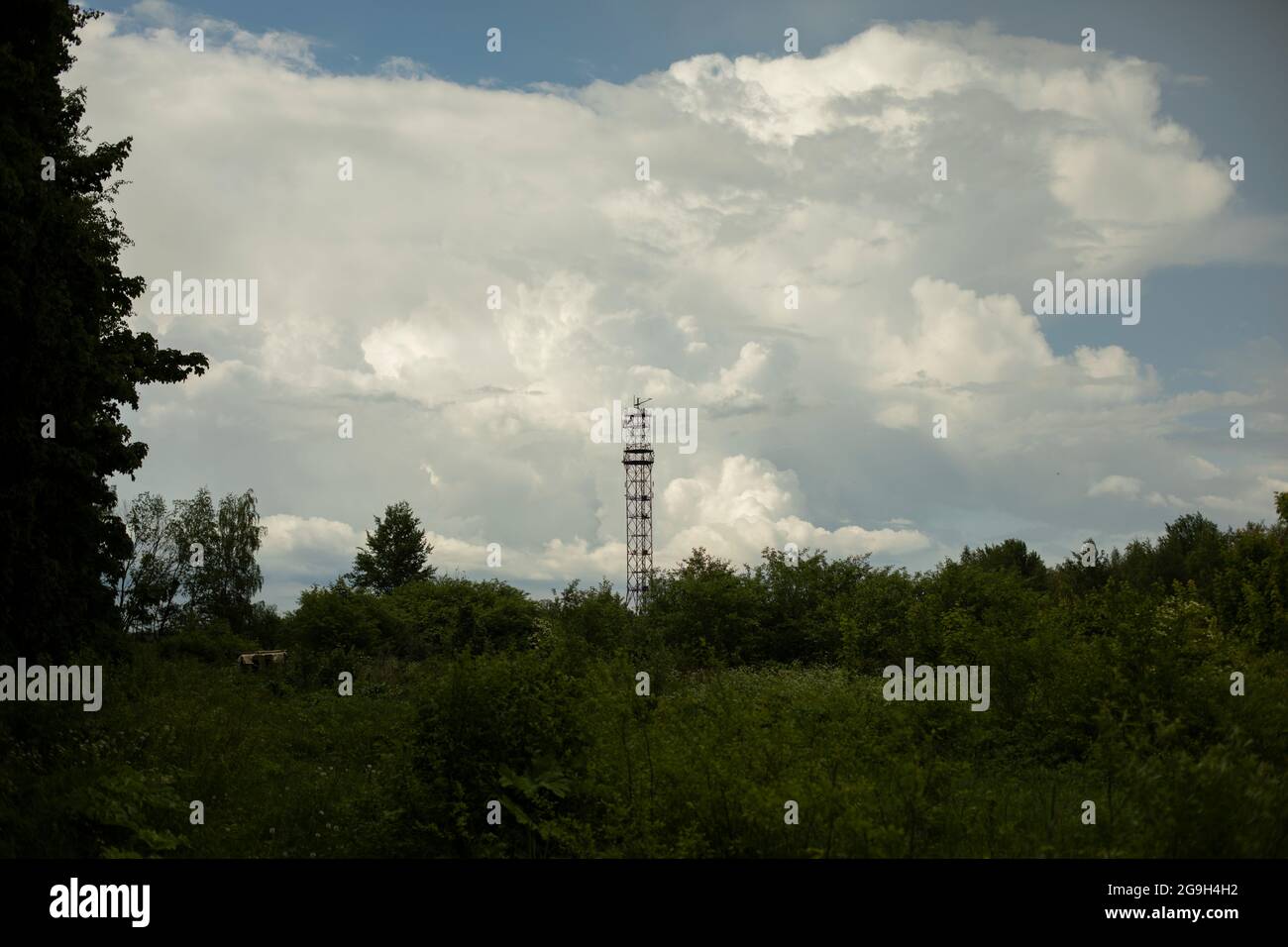 Grande antenna del segnale radio. Sorgente del segnale orario. Trasmettitore ad alta frequenza ad ampia gamma. Alta costruzione nella foresta. Foto Stock