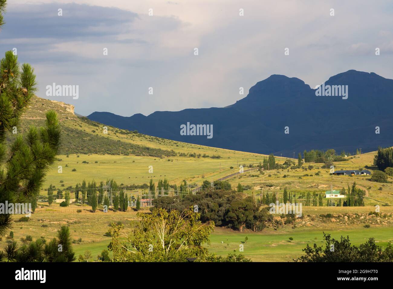 Vista nel tardo pomeriggio sulla periferia di Clarens, nella provincia dello Stato libero del Sud Africa, all'ombra del Drakensberg Foto Stock
