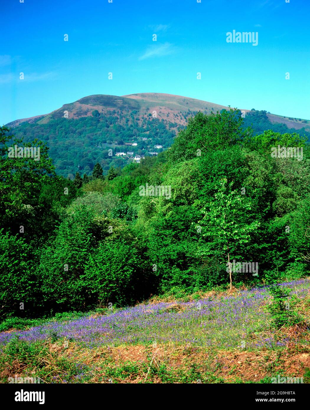 la montagna garth, i taffs bene, la valle del taff vicino pontypridd, galles del sud. questa è la vera collina / montagna che il film 'l'inglese che è andato su a Foto Stock