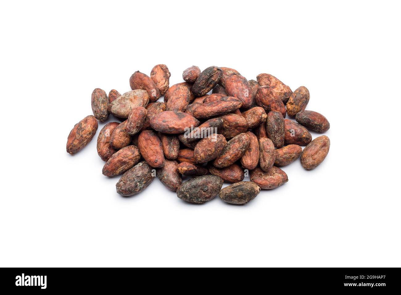 I fagioli di cacao si mazzano su sfondo bianco Foto Stock