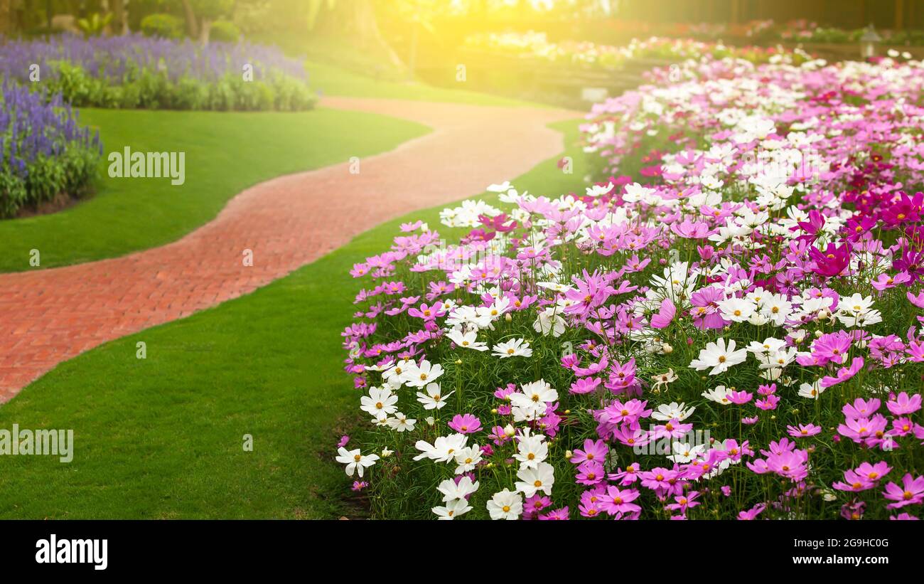 Un tranquillo giardino fiorito con percorso a curva vuota attraverso fiori colorati in piena fioritura. L'alba luminosa splende su una collina sullo sfondo. Foto Stock