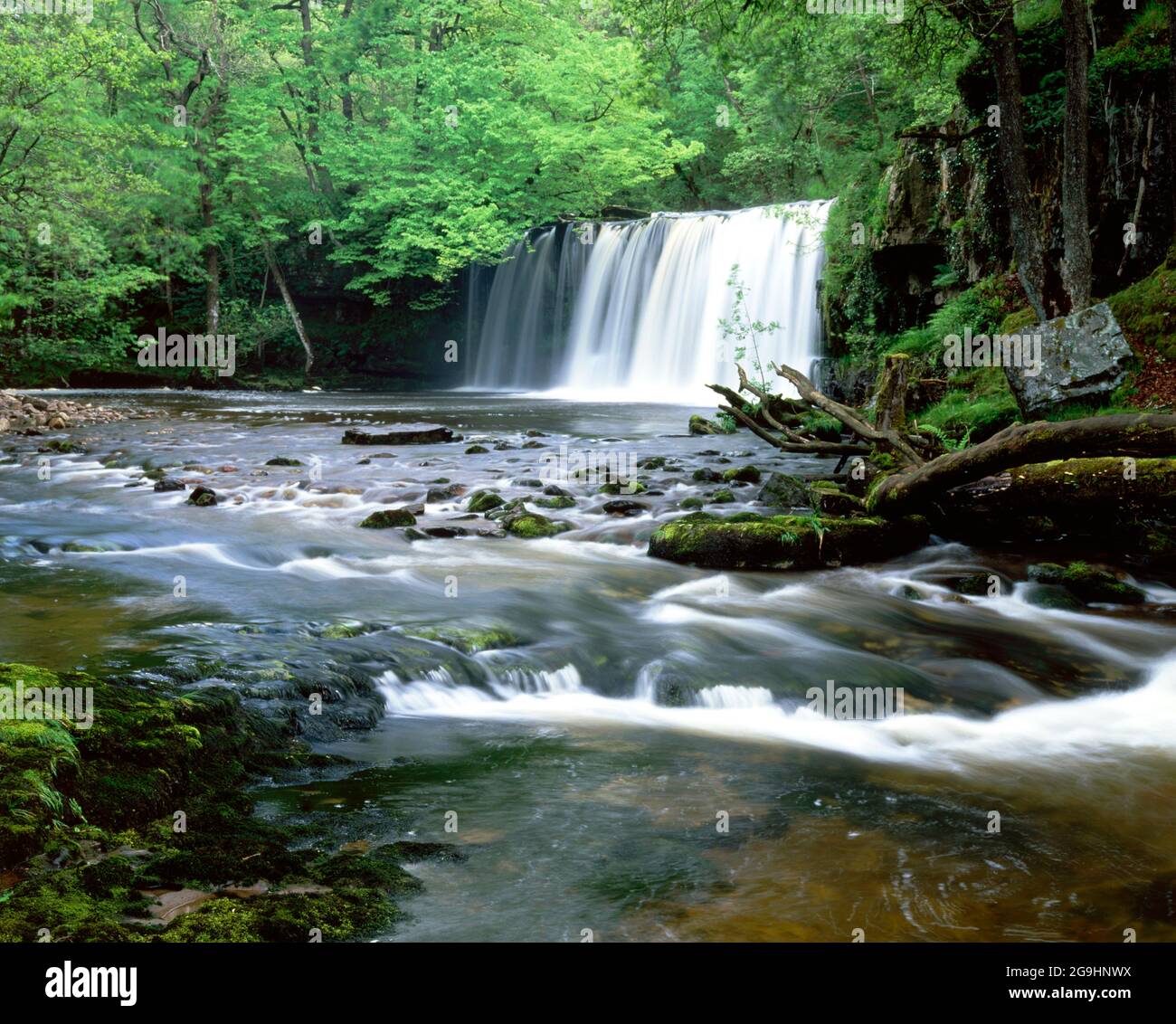 Cascate Scwd Ddwli, fiume Nedd, alta valle di Neath, Ystradfellte, Brecon Beacons National Park, Powys, Galles. Foto Stock