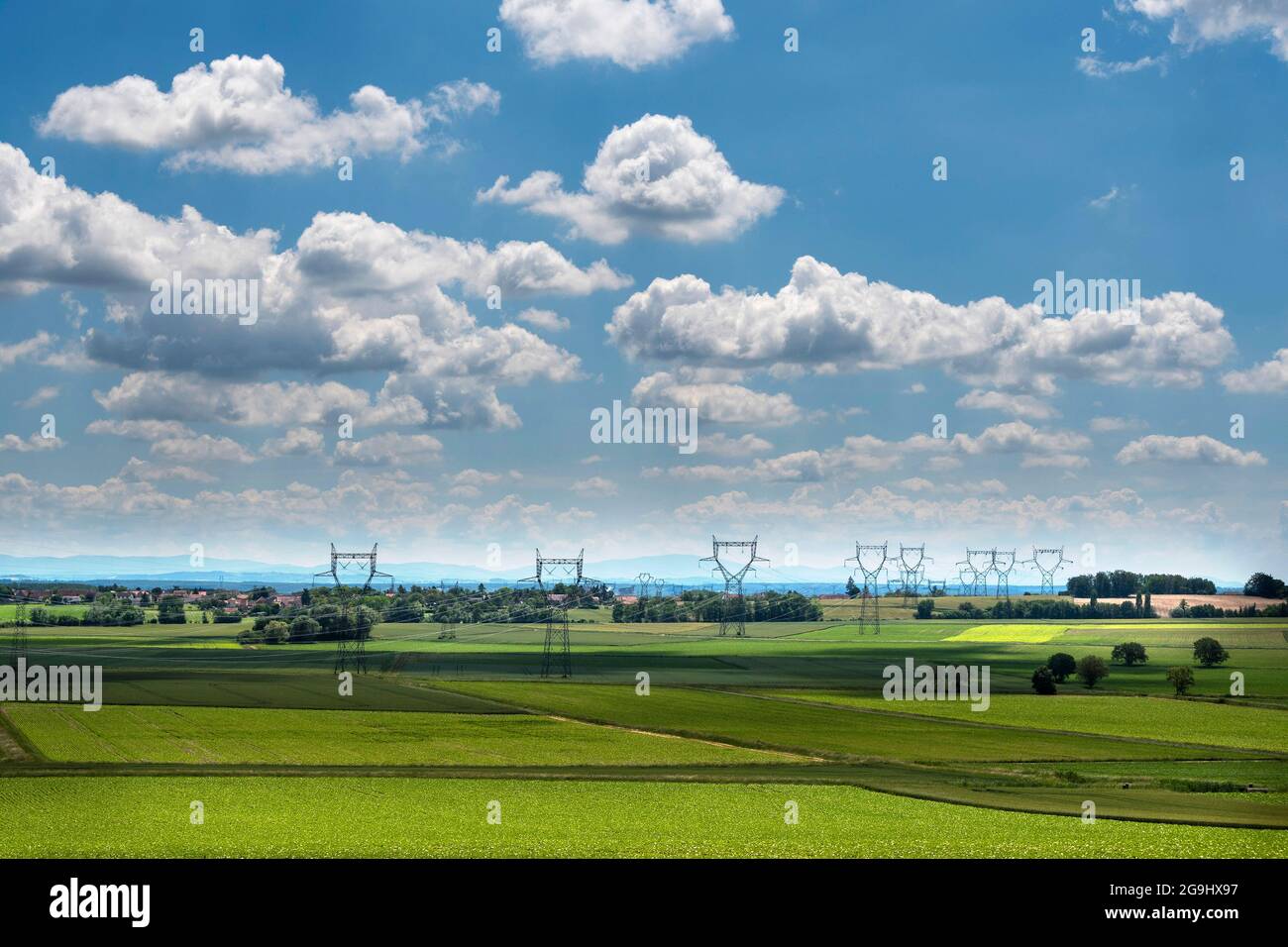 Linee ad alta tensione, reparto Allier, Auvergne Rhone Alpes, Francia Foto Stock