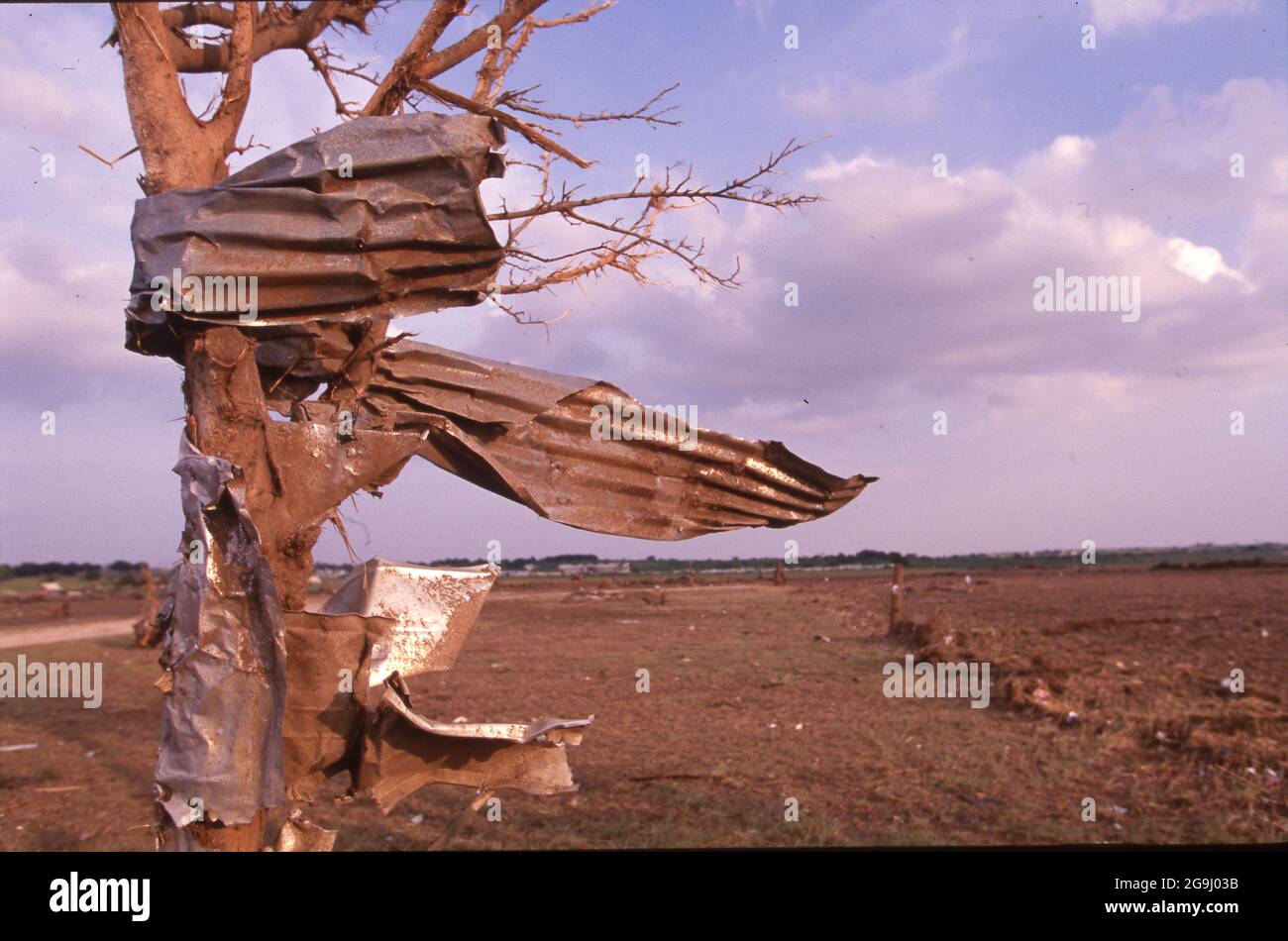 Jarrell Texas USA, 28 maggio 1997: Pezzi di metallo sono avvolti intorno a un albero spogliato delle sue foglie e la maggior parte dei suoi rami in seguito a un tornado di categoria 5 che ha colpito la città centrale del Texas di Jarrell il 27 maggio. La tempesta distruttiva uccise 27 persone e distrusse decine di case. ©Bob Daemmrich Foto Stock