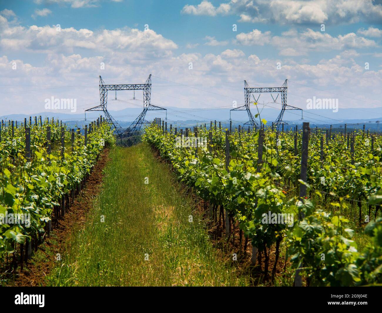 Linee ad alta tensione, dipartimento Allier, Auvergne Rodano Alpi, Francia, Europa Foto Stock