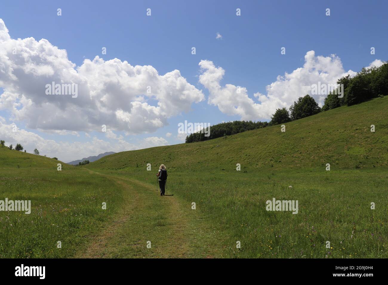 Il passaggio di un alpinista attraverso i verdi pascoli di Studeni potok verso il canyon di Rakitnica Foto Stock