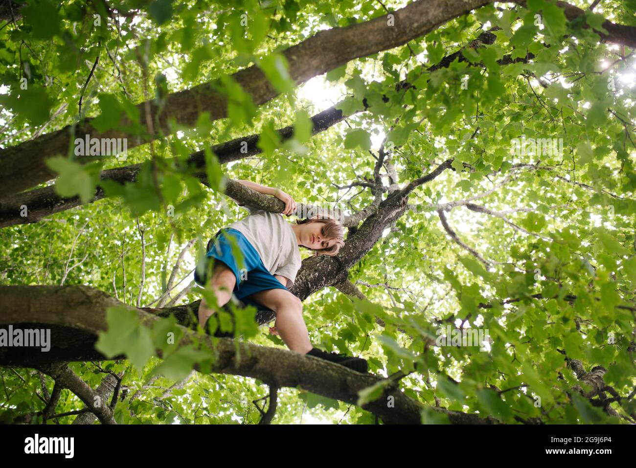 Canada, Ontario, Kingston, Boy (14-15) albero di arrampicata Foto Stock