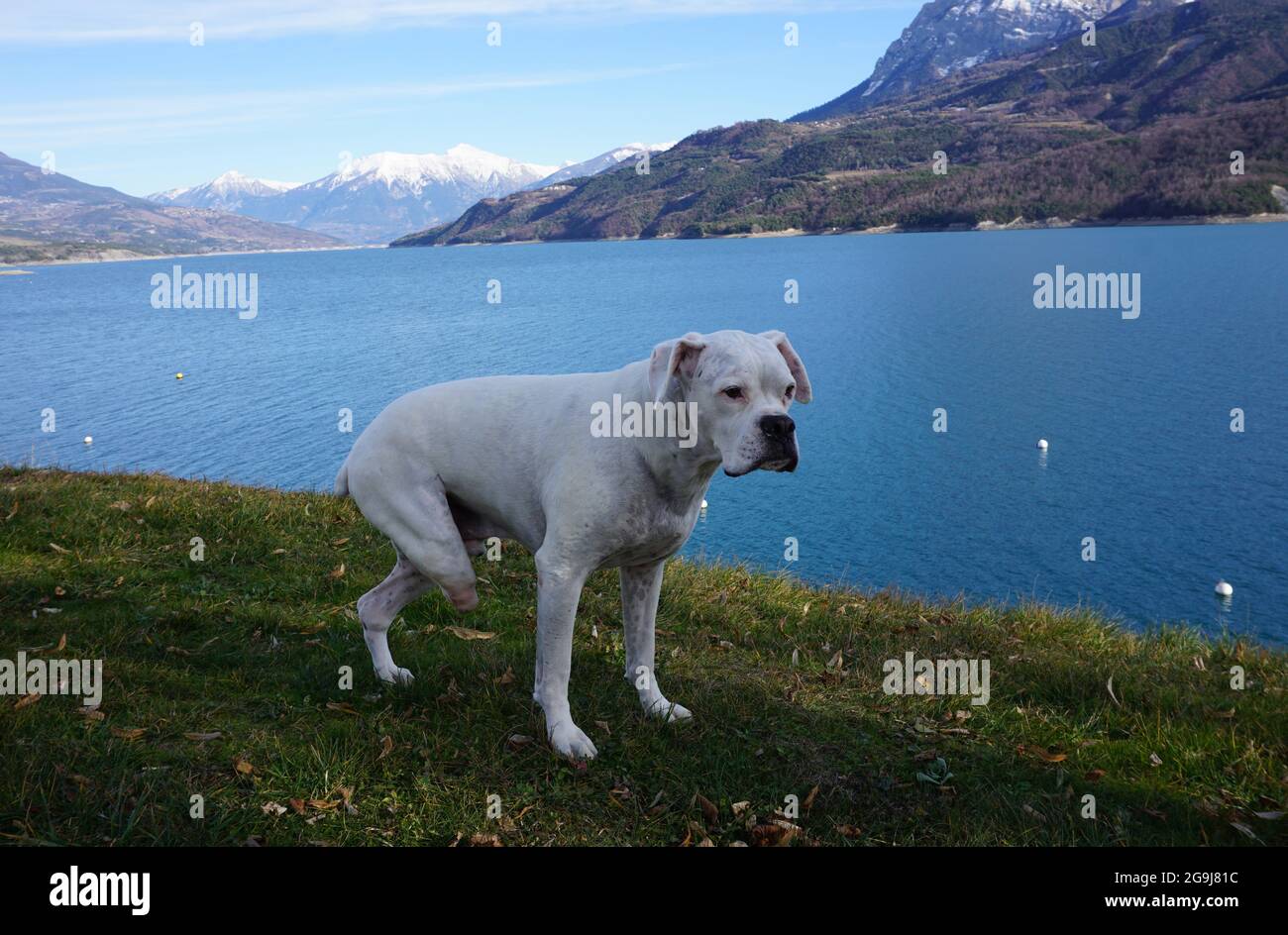 tre zaini bianchi in piedi da serre poncon lago alpi francia Foto Stock