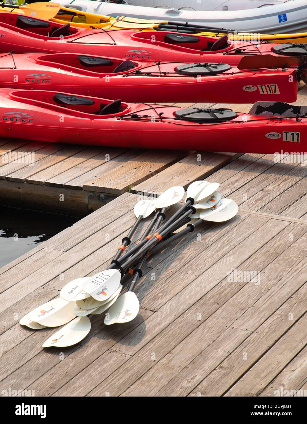Pagaie e kayak sul molo di Camden Harbour, Camden, Maine, USA Foto Stock