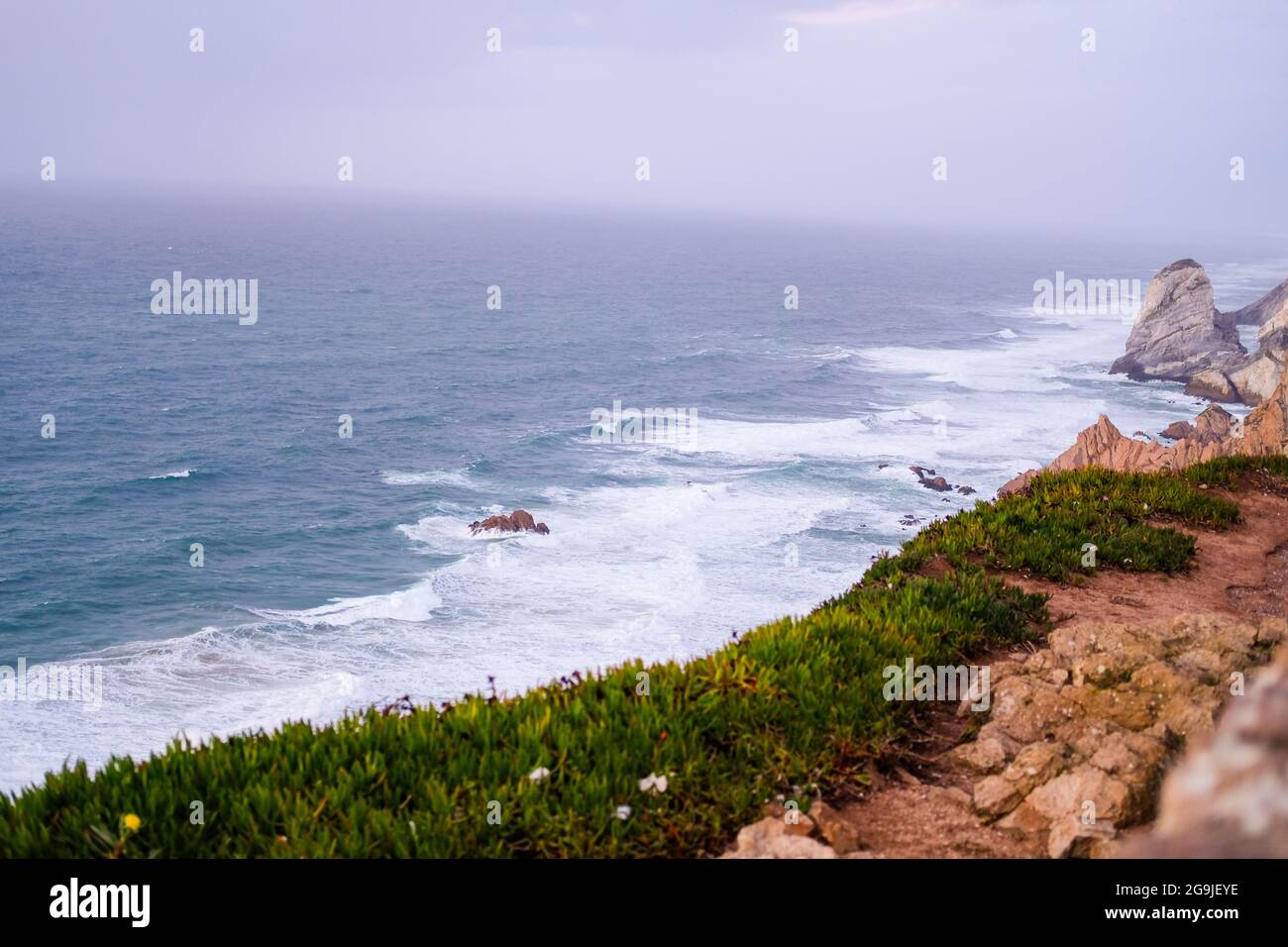 Vista costiera dell'oceano con nebbia e rocce Foto Stock