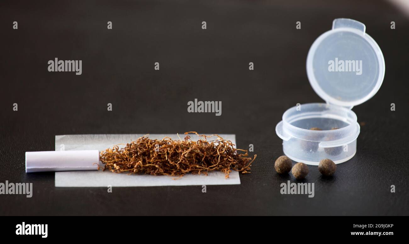 Preparazioni per sigari con hashish, filtro di cartone, carta, tabacco, contenitore di plastica e hashish Foto Stock