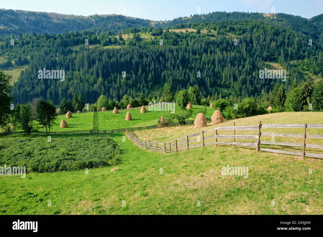 Paesaggio rurale con recinzione nei Monti Afuseni, Romania Foto Stock