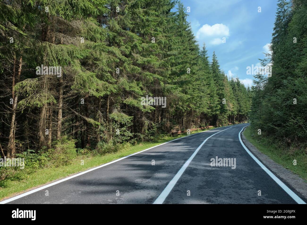 Alta strada attraversa la foresta di abeti in Transilvania, Romania Foto Stock