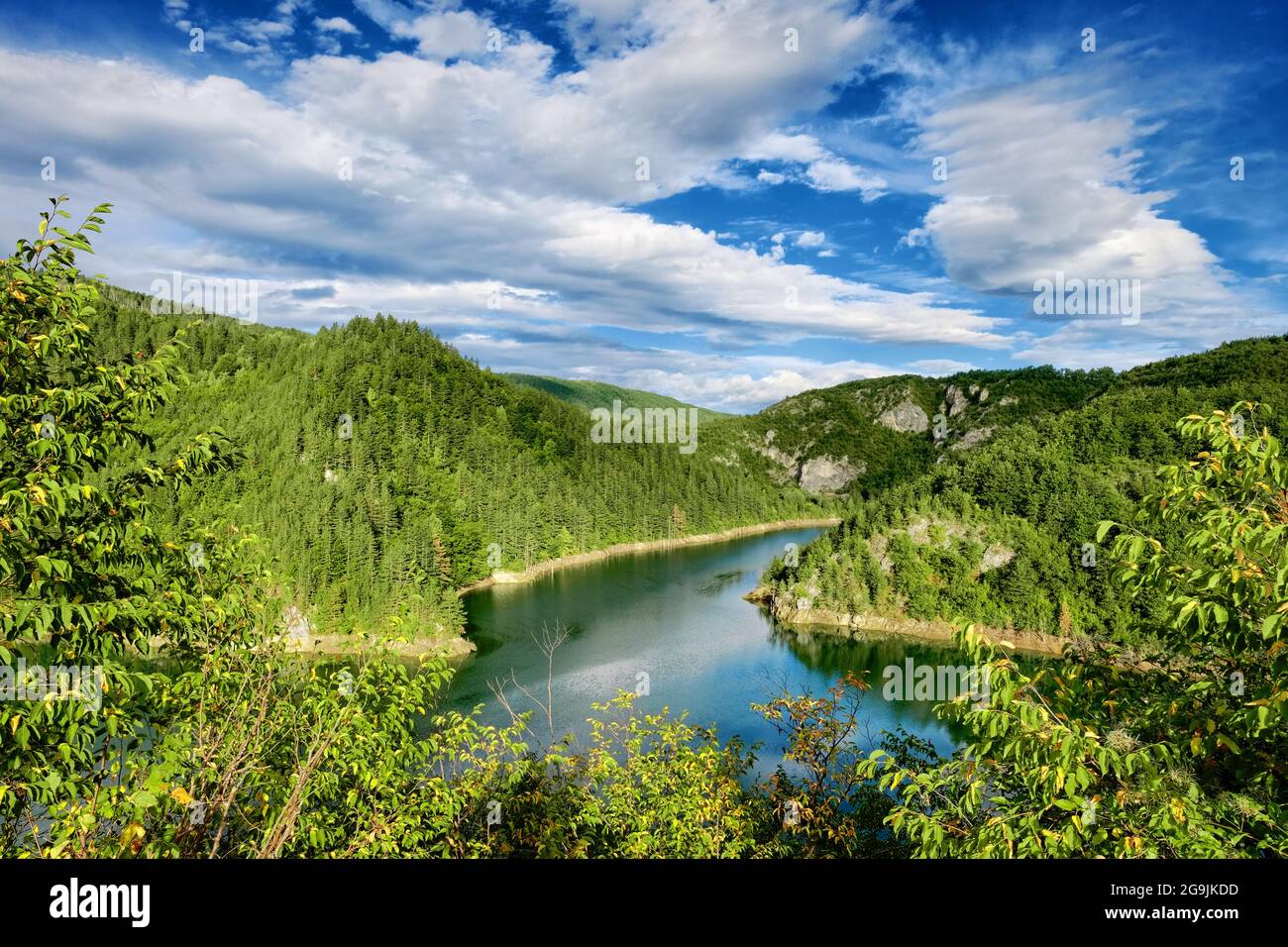 lago di montagna e la foresta in Montenegro Foto Stock