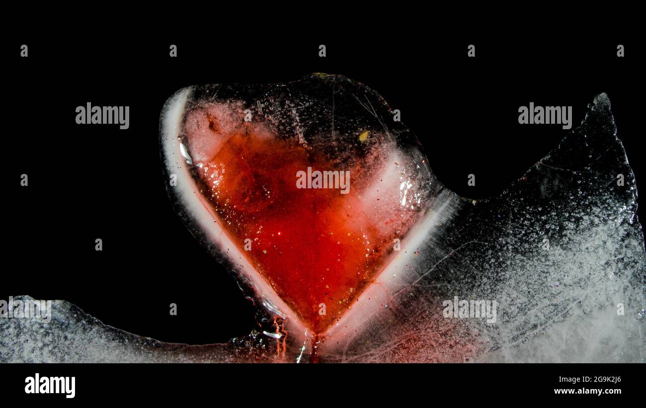Cuore rosso, congelato in ghiaccio che fonde, sanguinante. AMORE! Foto Stock