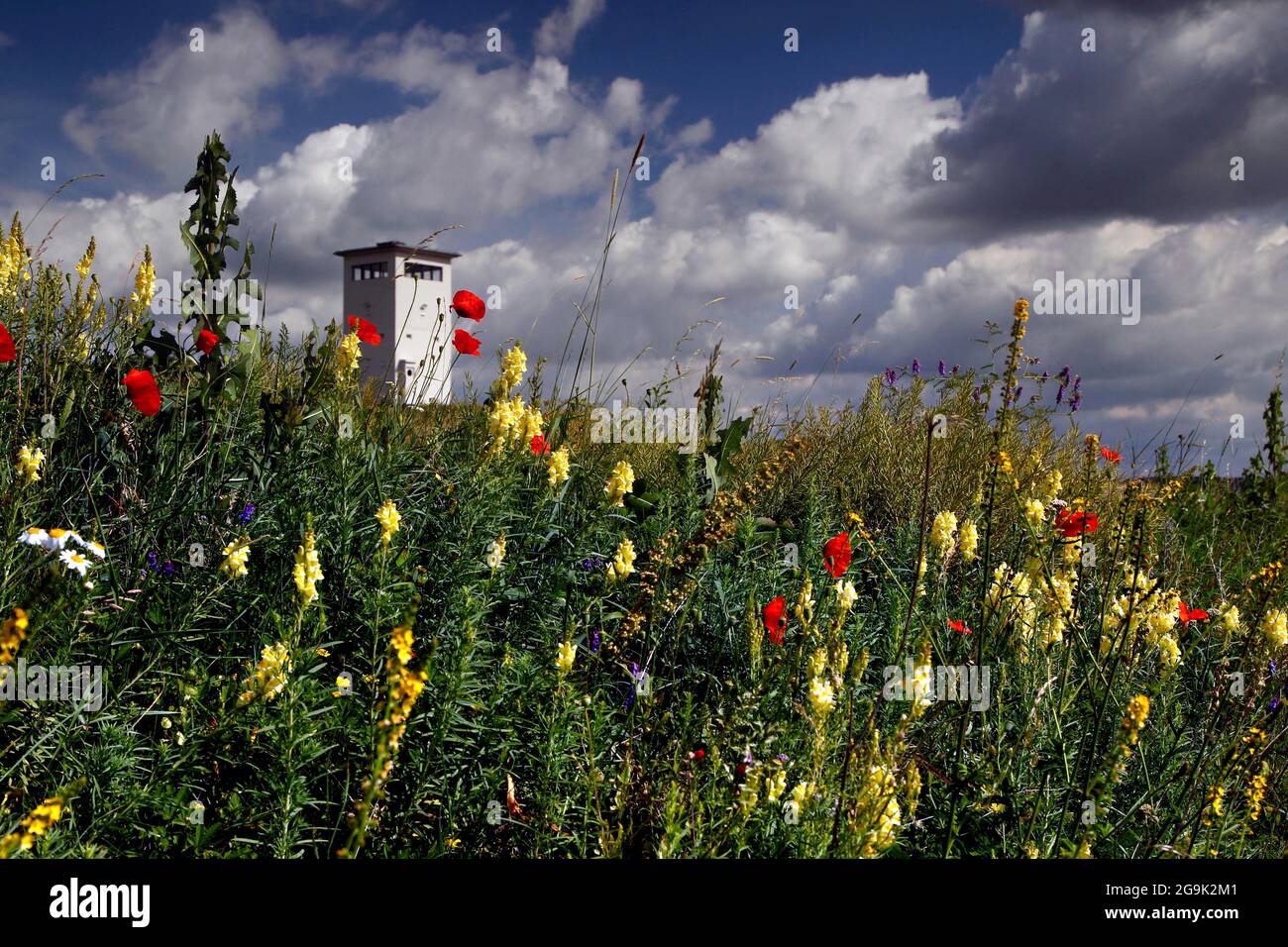 Torre di osservazione delle truppe di frontiera della RDT, torre di guardia di confine, fiori di prato, fiori di campo, fiori selvatici, colonna sentiero, sentiero escursionistico attraverso Foto Stock
