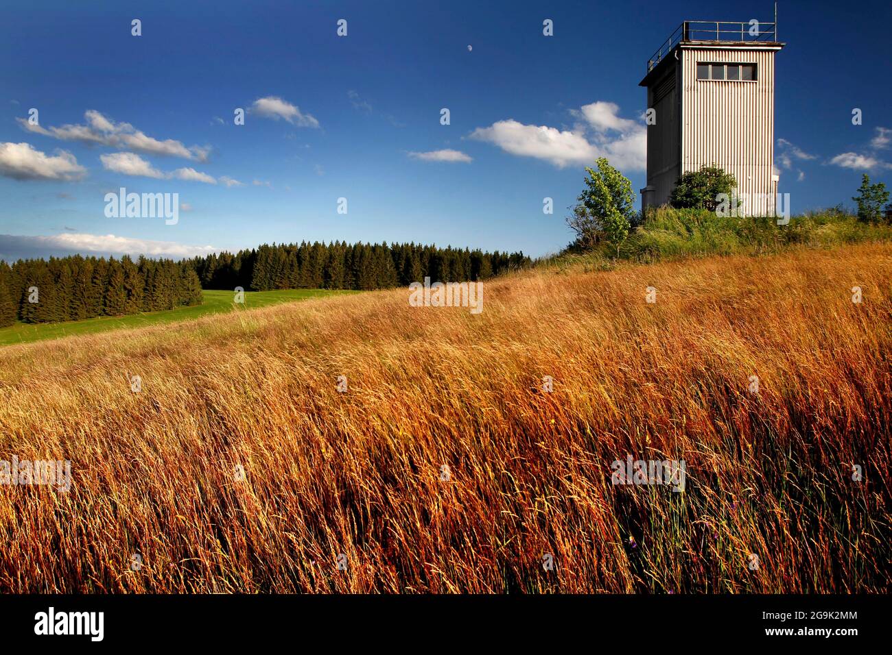 Kolonnenweg, sentiero escursionistico attraverso prati e campi, Lochplattenweg, torre di osservazione delle truppe di confine della RDT, torre di guardia di confine, banda di Gruenes Foto Stock