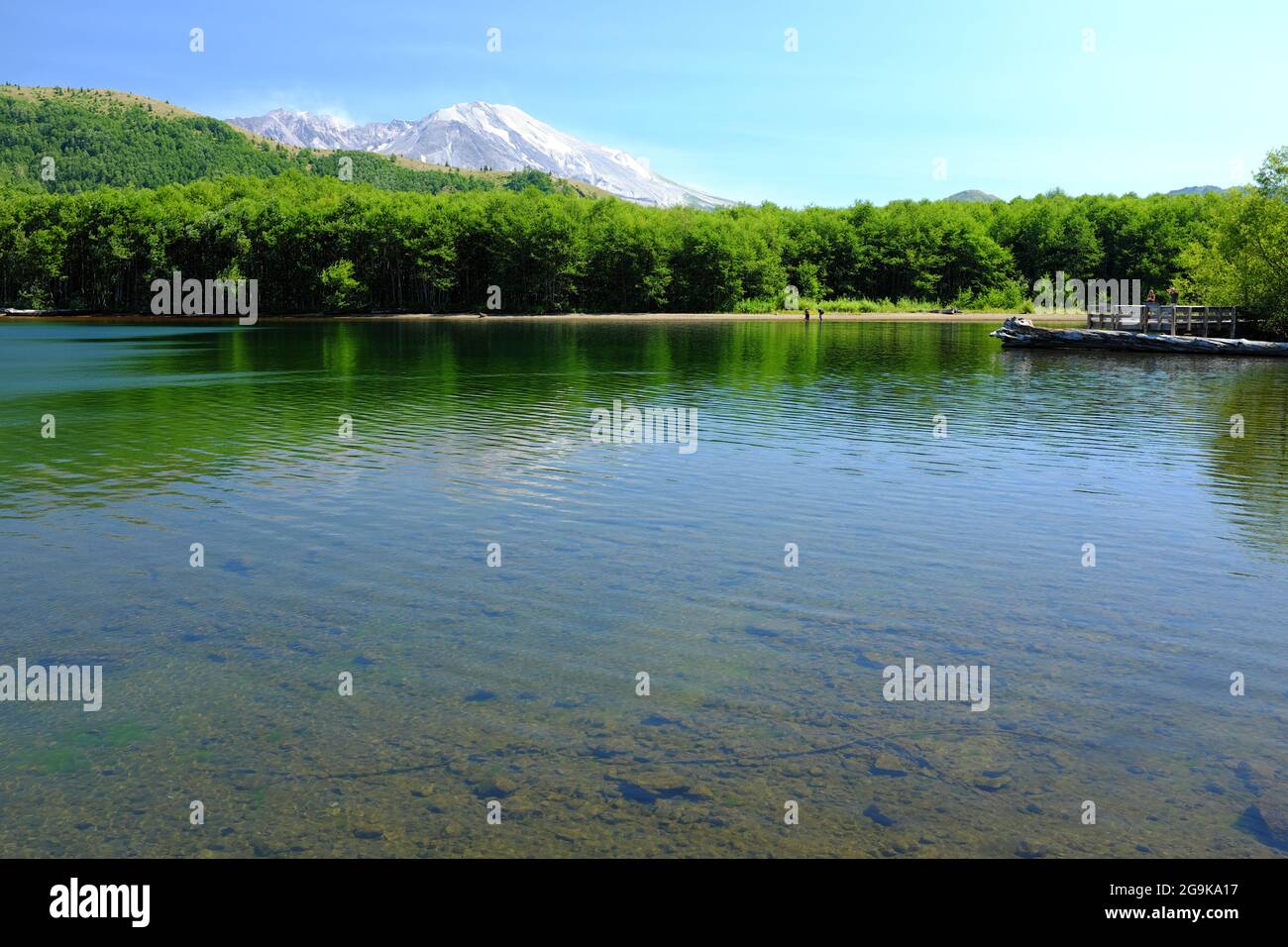 Lago Coldwater con il monte St. Helens sullo sfondo nello Stato di Washington, Stati Uniti. Foto Stock