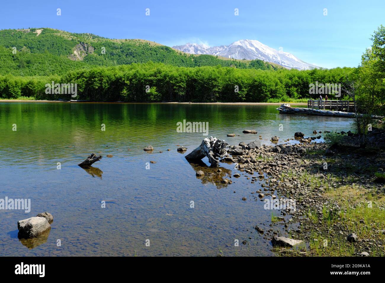 Lago Coldwater con il monte St. Helens sullo sfondo nello Stato di Washington, Stati Uniti. Foto Stock