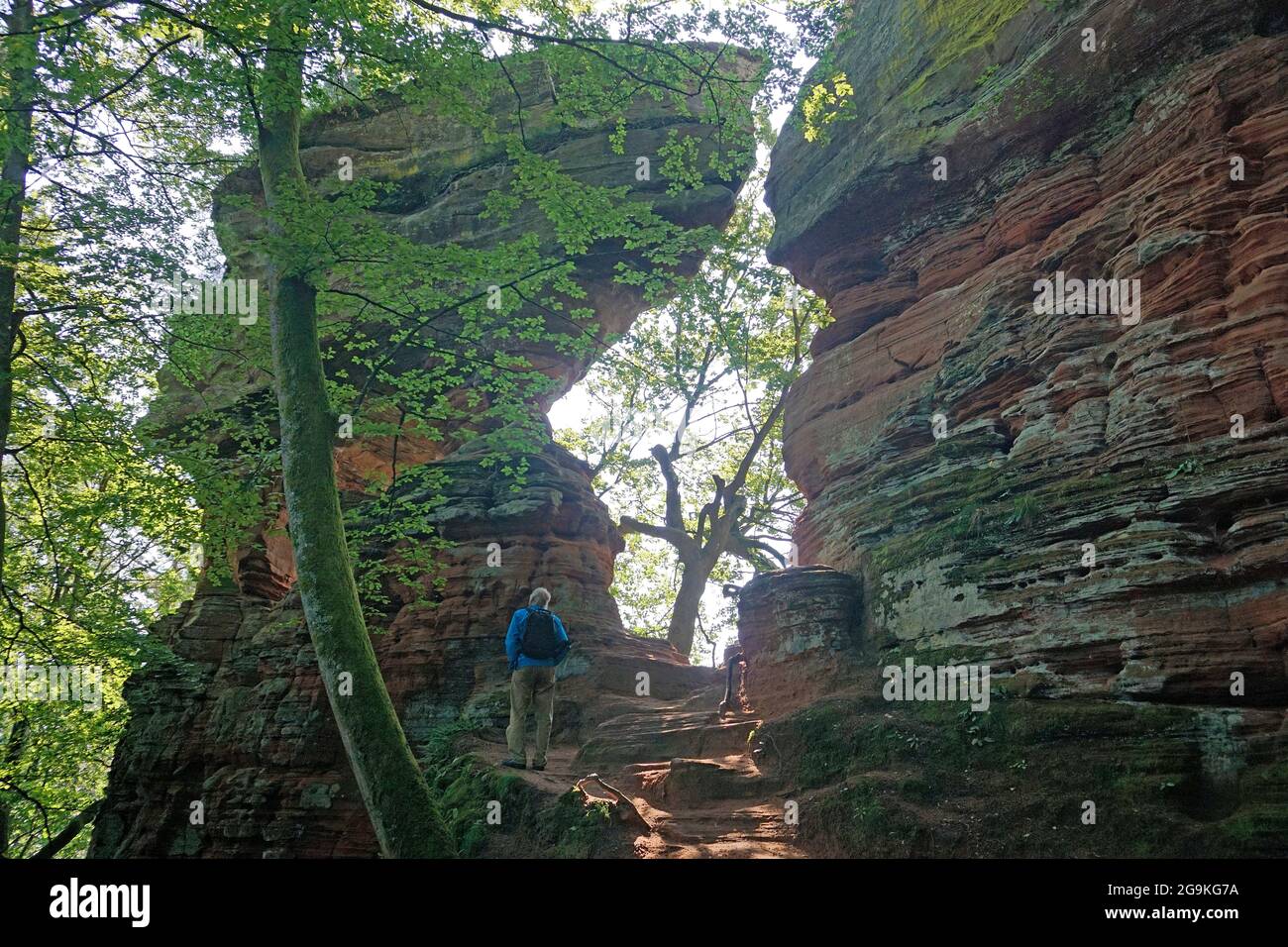 Escursionista a Old Castle Rock (Altschlossfelsen), torri di pietra di sabbia rossa nella foresta Palatina, Eppenbrunn, Renania-Palatinato, Germania Foto Stock