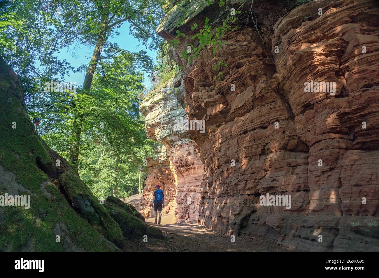 Escursionista a Old Castle Rock (Altschlossfelsen), torri di pietra di sabbia rossa nella foresta Palatina, Eppenbrunn, Renania-Palatinato, Germania Foto Stock