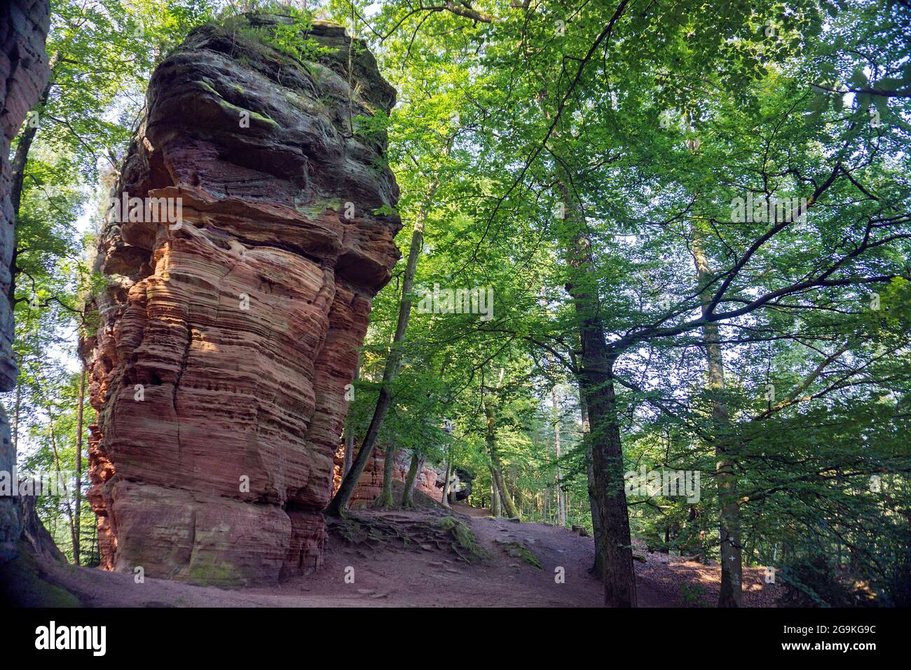 Old Castle Rock (Altschlossfelsen), torri di pietra di sabbia rossa nella foresta di Palatine, Eppenbrunn, Renania-Palatinato, Germania Foto Stock