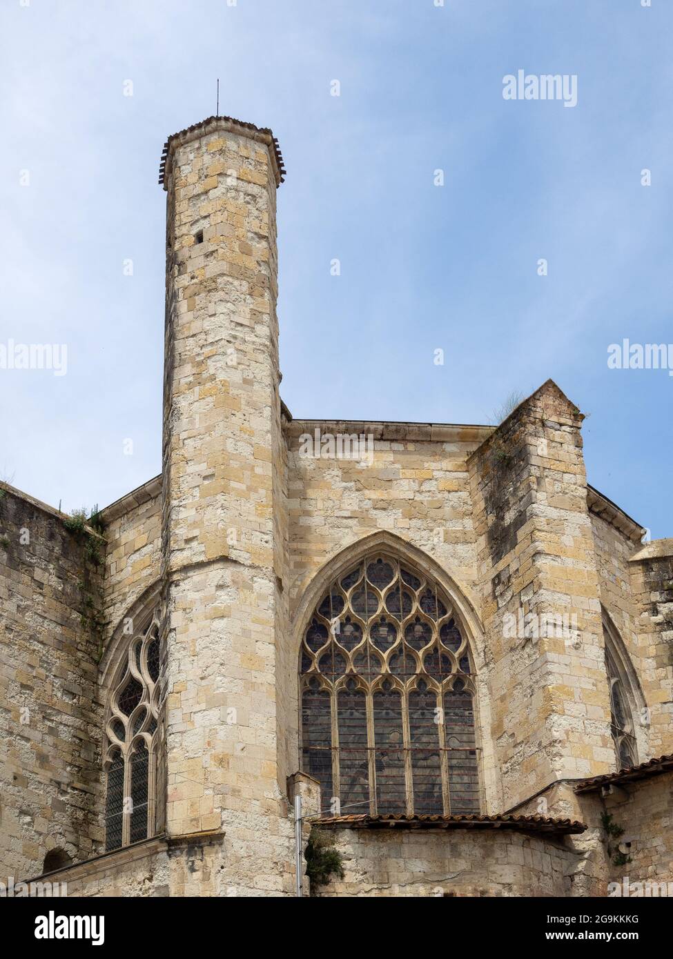 Particolare cattedrale di saint pierre de Condom, Gers, Francia Foto Stock