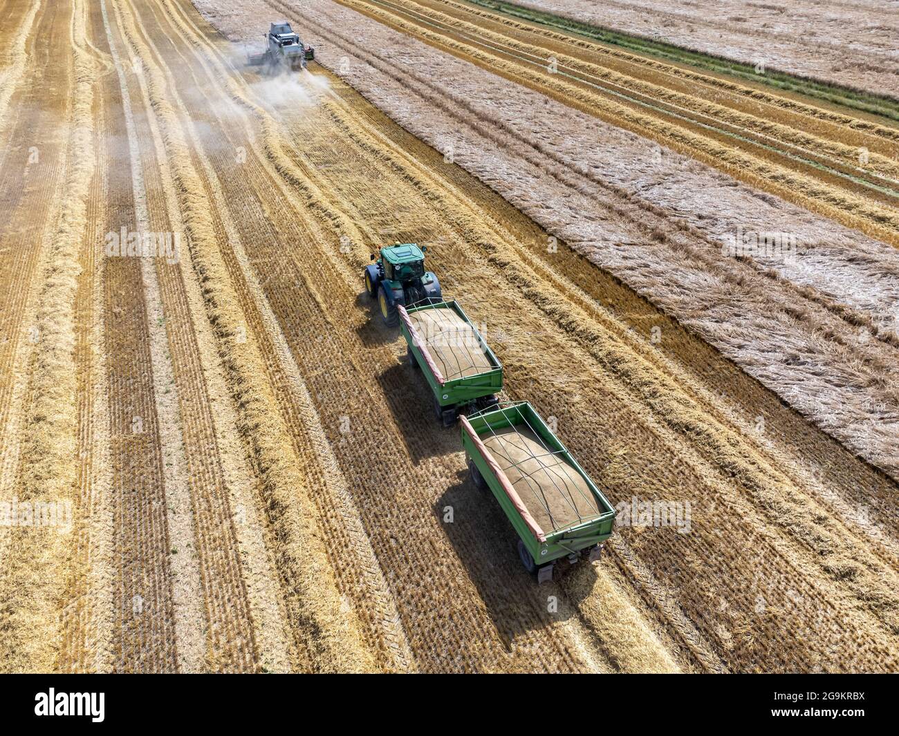 Vista aerea del trattore con mietitrebbia che raccoglie un campo di grano Foto Stock