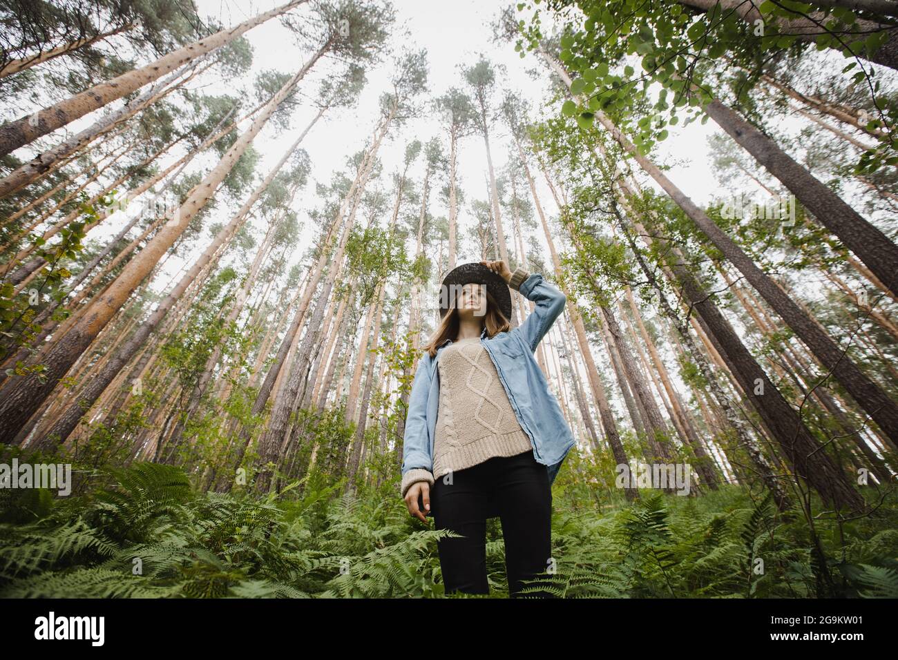 Basso angolo di giovane femmina con mano su cappello in piedi in felce verde tra alberi alti in boschi Foto Stock