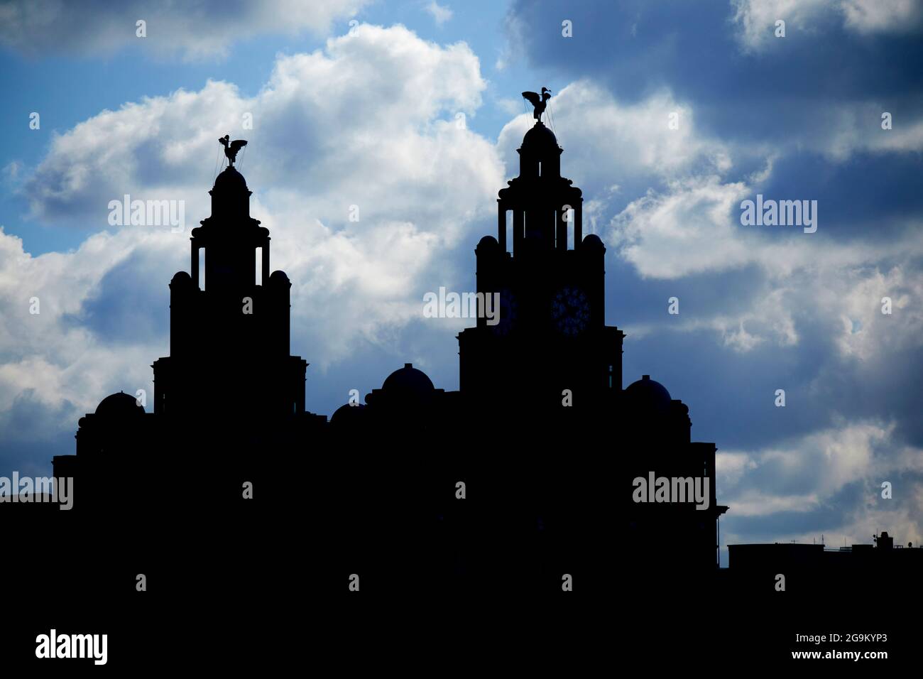 silhouette della parte superiore dell'edificio del fegato, tra cui uccelli del fegato liverpool inghilterra uk Foto Stock