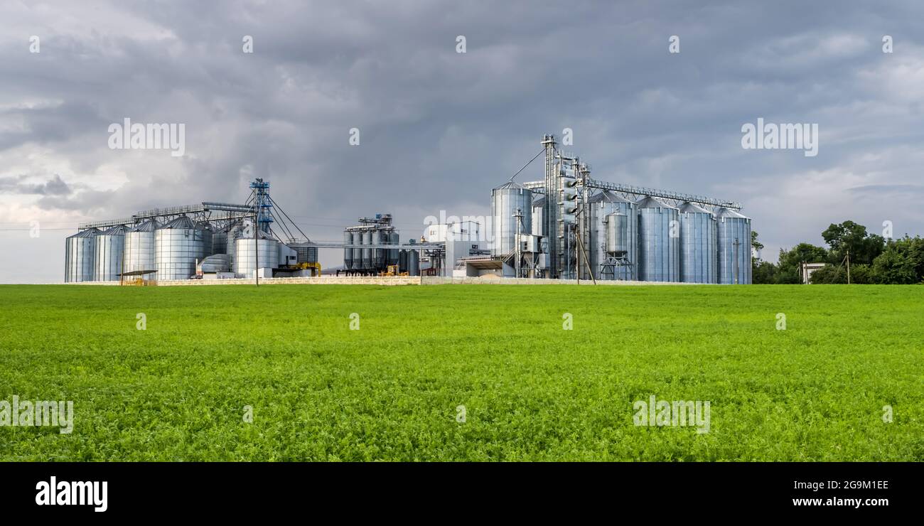 Moderno ascensore Granary e linea per la pulizia dei semi. Silos argentei su agro-processing e impianto di produzione per stoccaggio e lavorazione essiccazione pulizia di Foto Stock