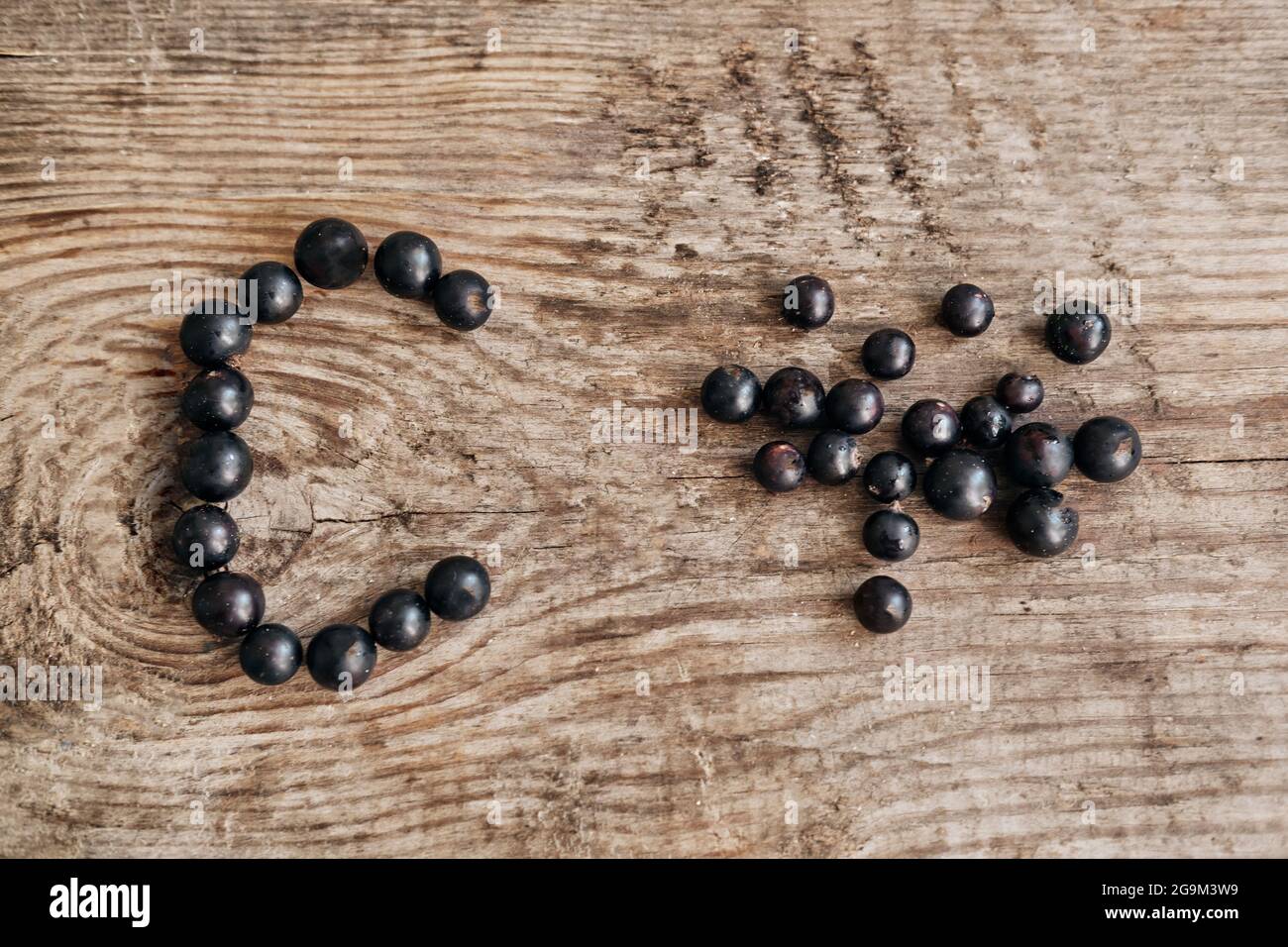 Curry nero fresco maturo con foglie originali su rustico sfondo di legno vecchio primo piano. Cibo sano, raccolta, vitamina Foto Stock