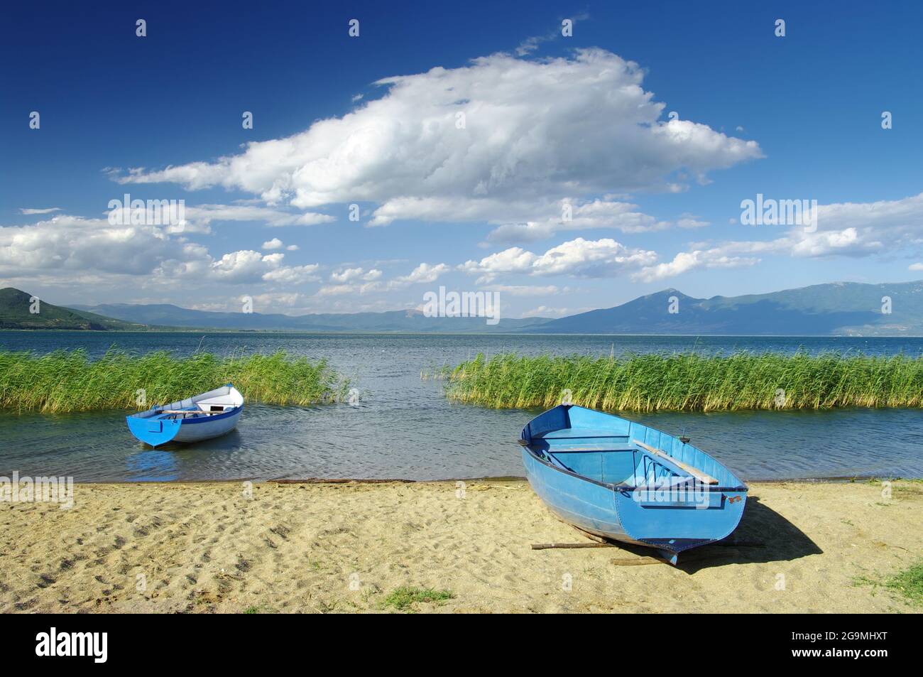 Paesaggio torbido sul lago di Prespa nel Parco Nazionale Galicica, Repubblica di Macedonia Foto Stock