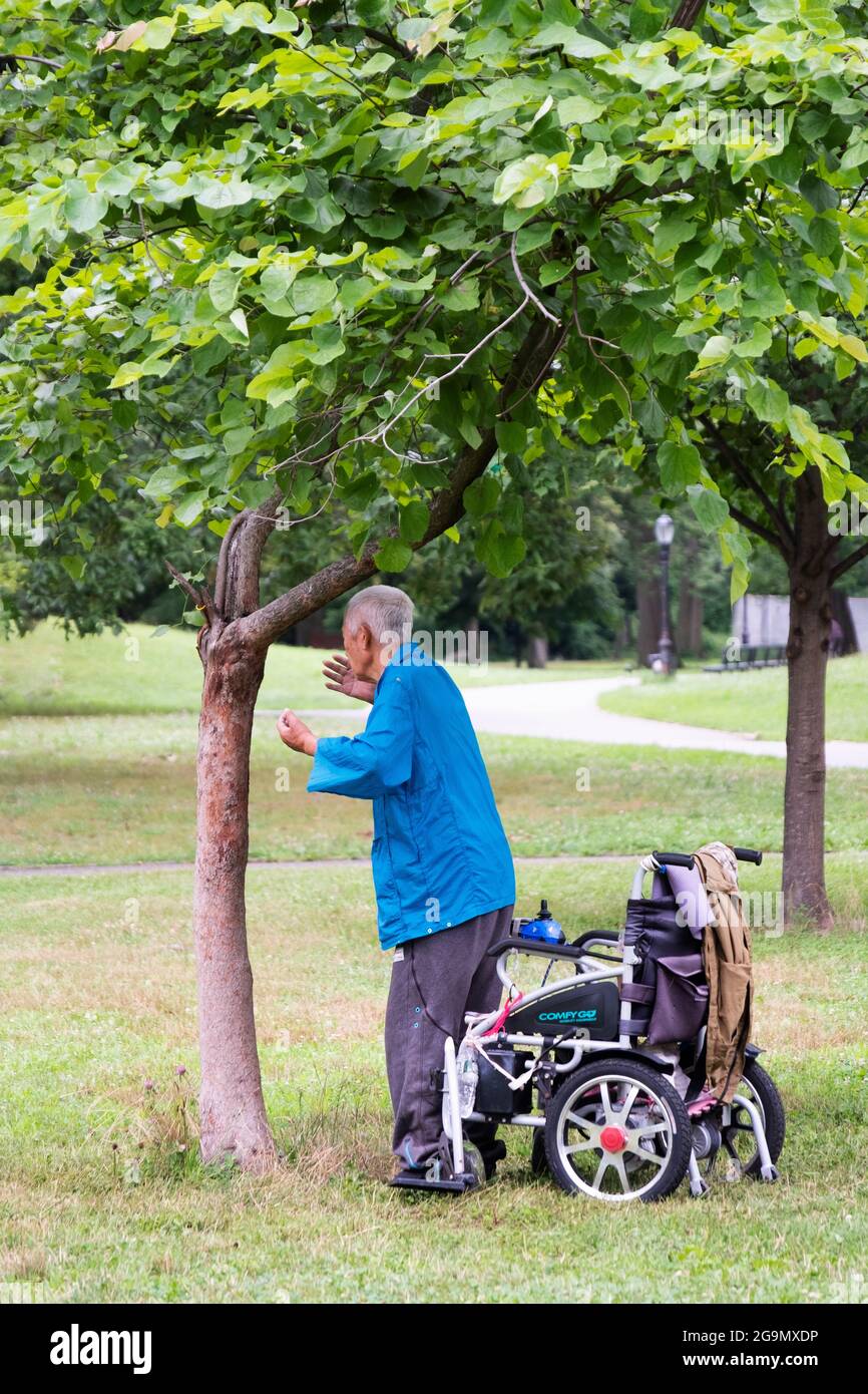 Un uomo di 86 anni fa Falun Gong esercizi lenti vicino ad un albero. A  Queens, New York, un posto molto diverso Foto stock - Alamy