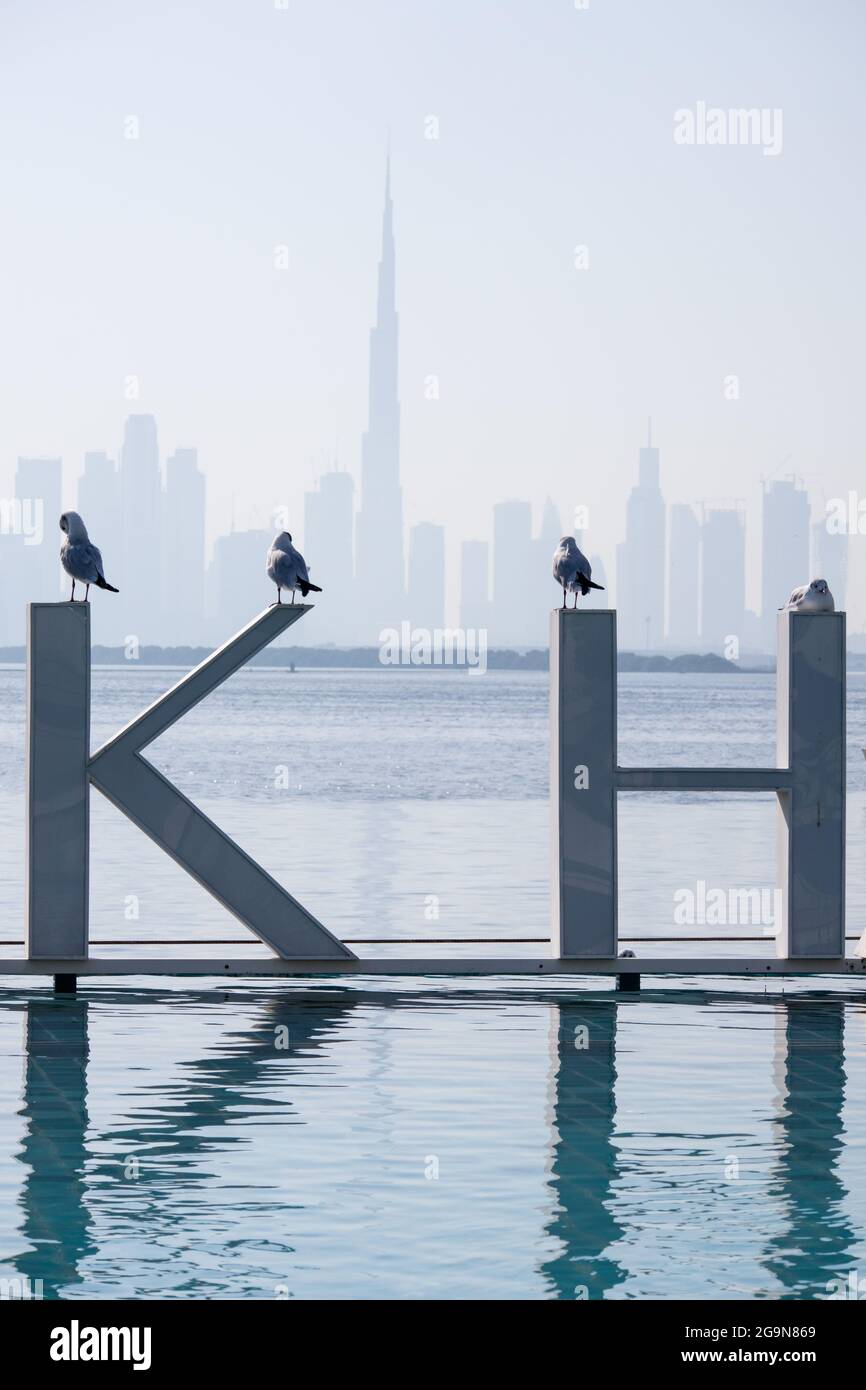 I gabbiani si trovano su lettere giganti di fronte agli skyli del centro di Dubai Foto Stock