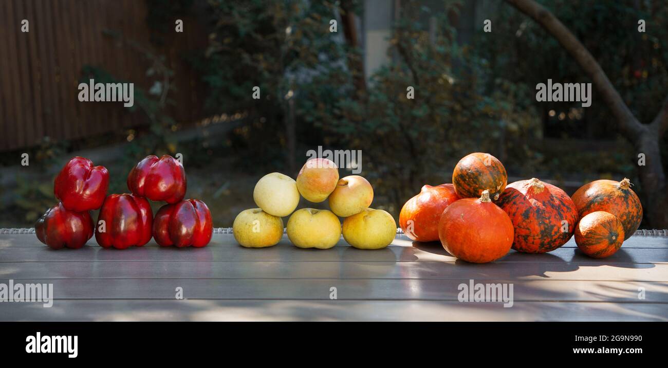 autunno harvest. peperoni coltivati organicamente, zucca, mele in un assortimento. Set vitaminico di verdure fresche e appetitose. Felice da di ringraziamento Foto Stock