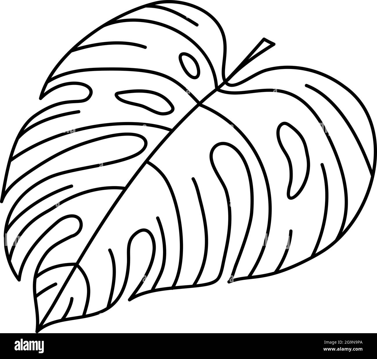 Vettore monolina singolo disegnando pianta esotica di monstera di foglia tropicale. Concetto decorativo stampabile di houseplant per ornamento domestico del manifesto di decorazione della parete Illustrazione Vettoriale