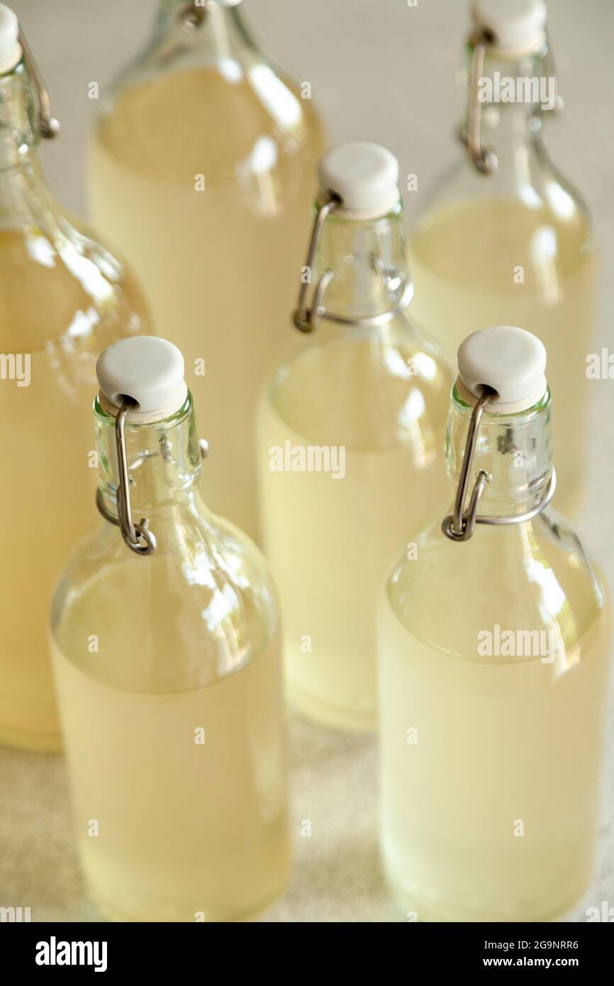 Bottiglie di vetro con swing top e champagne con fiori di sambuco Foto Stock