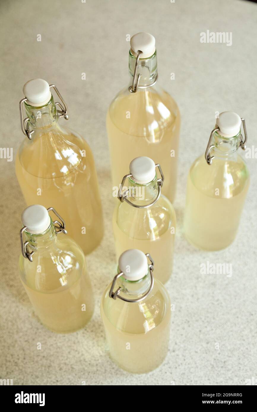 Bottiglie di vetro con swing top e champagne con fiori di sambuco Foto Stock