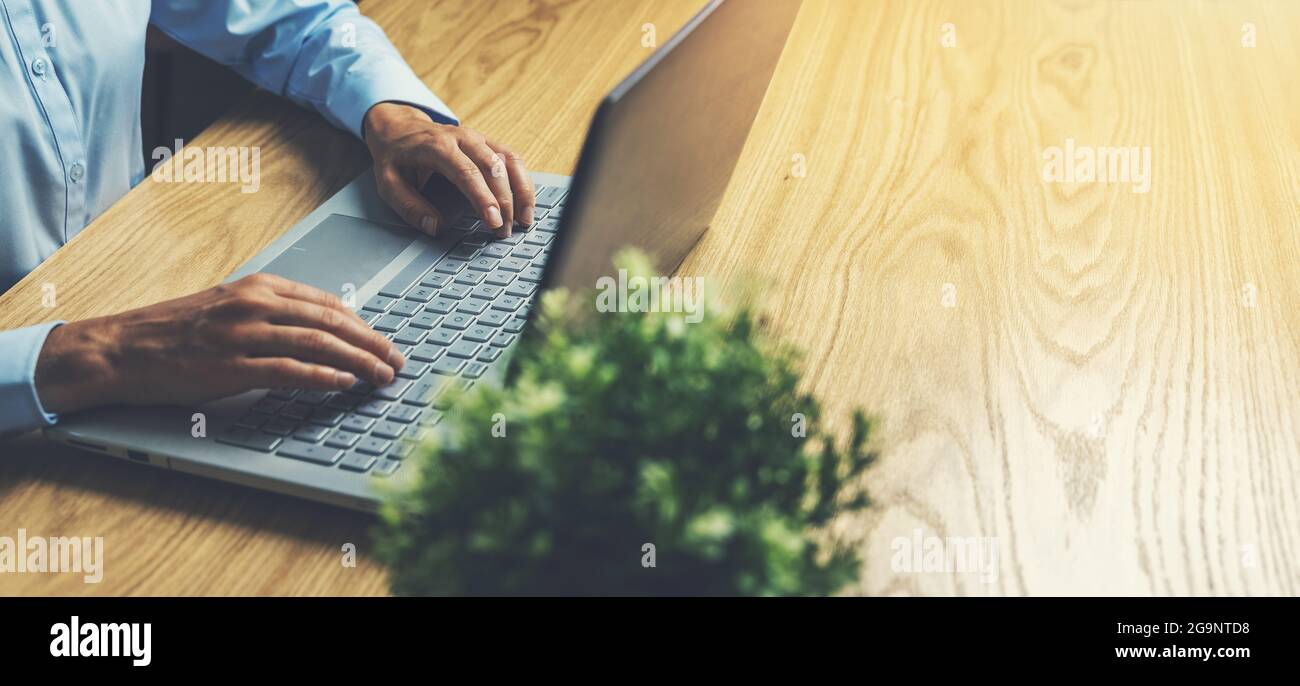 donna di affari che usa il computer portatile su tavola di legno. lavoro da casa, lavoro freelance. spazio di copia della bandiera Foto Stock